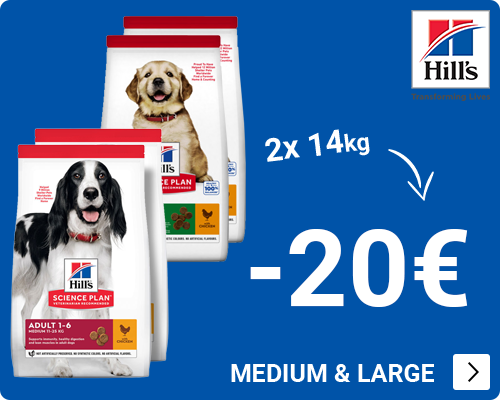 Hills -20 euro bij 2x grootverpakking DOG